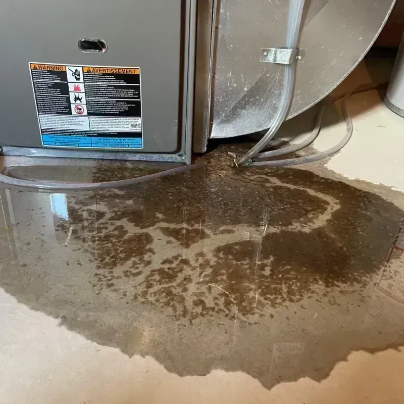 Appliance Leak Cleanup in Rossmoor, NJ